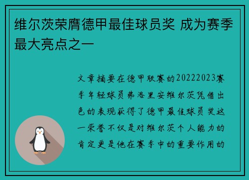 维尔茨荣膺德甲最佳球员奖 成为赛季最大亮点之一
